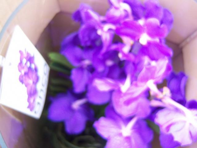 Name:  100_5176.jpg
Views: 397
Size:  31.5 KB
