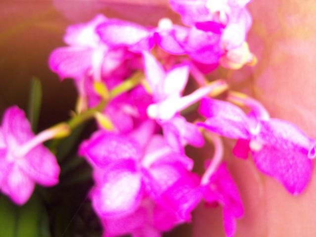 Name:  100_5177.jpg
Views: 392
Size:  31.7 KB