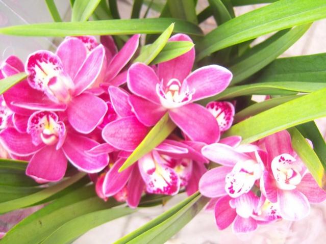 Name:  100_5181.jpg
Views: 383
Size:  48.2 KB
