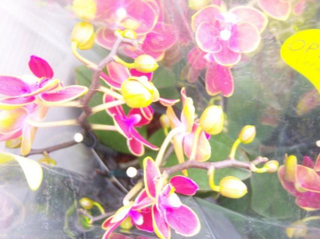 Name:  100_5183.jpg
Views: 373
Size:  41.7 KB