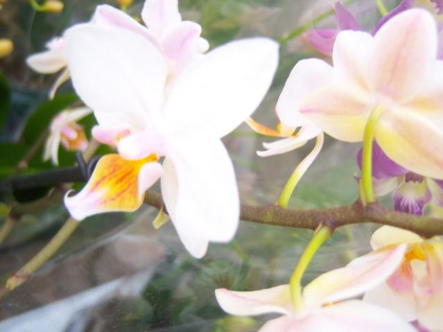 Name:  100_5192.jpg
Views: 375
Size:  29.1 KB