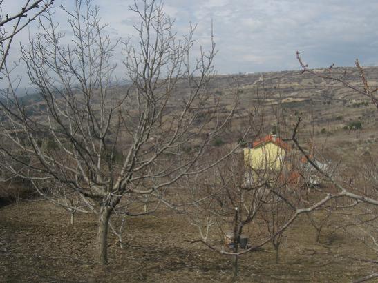 Name:  bahe.jpg
Views: 1863
Size:  45.9 KB