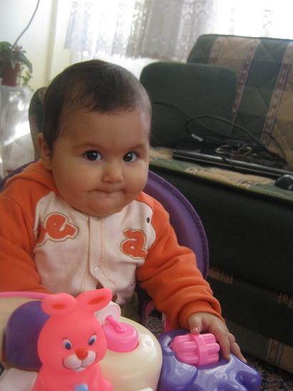 Name:  sevil.JPG
Views: 1821
Size:  34.4 KB