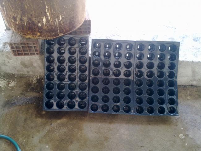 Name:  090320122108.jpg
Views: 720
Size:  44.7 KB