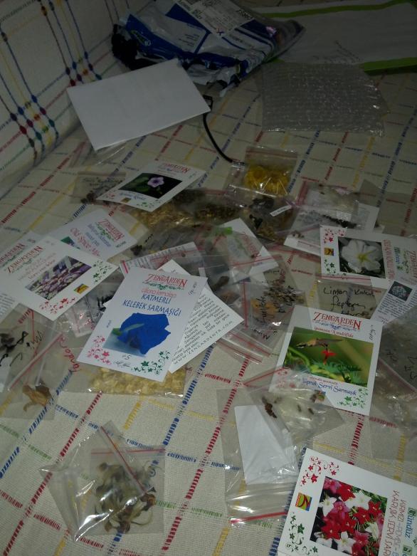 Name:  090320122114.jpg
Views: 748
Size:  71.7 KB