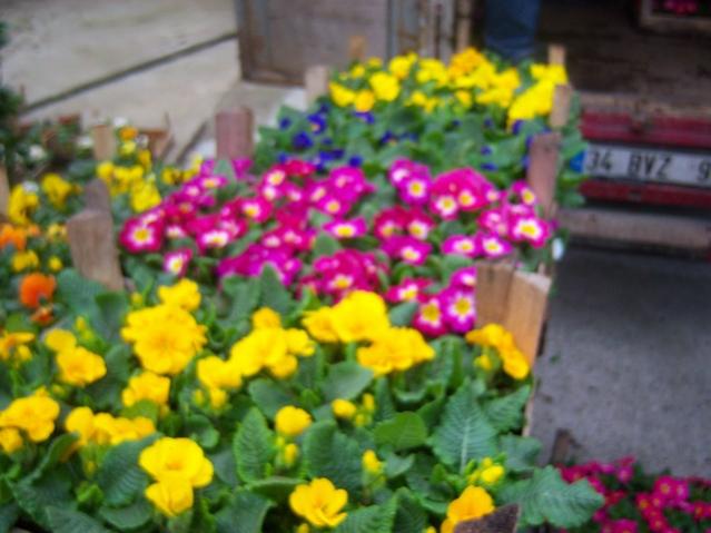 Name:  100_5242.jpg
Views: 557
Size:  43.8 KB