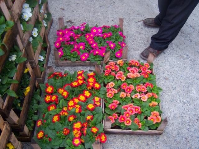 Name:  100_5243.jpg
Views: 523
Size:  65.2 KB