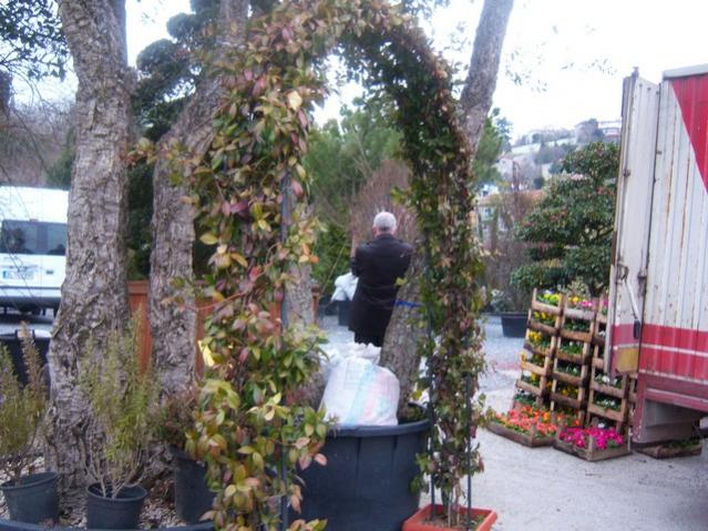 Name:  100_5248.jpg
Views: 1264
Size:  64.6 KB