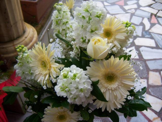 Name:  100_5252.jpg
Views: 804
Size:  49.4 KB