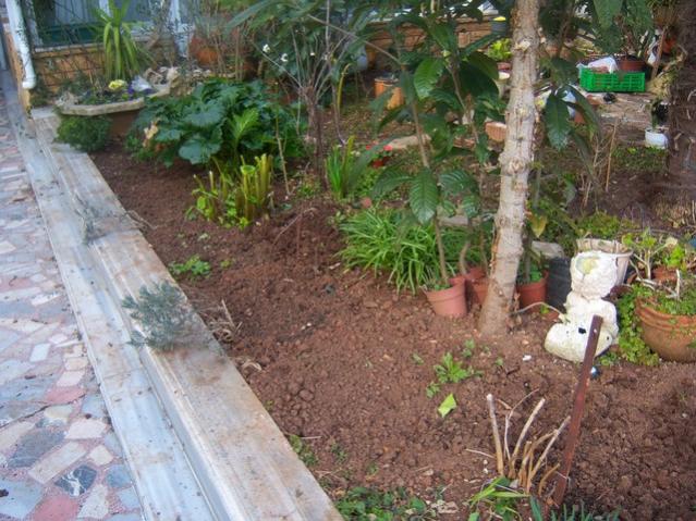 Name:  100_5322.jpg
Views: 557
Size:  67.6 KB