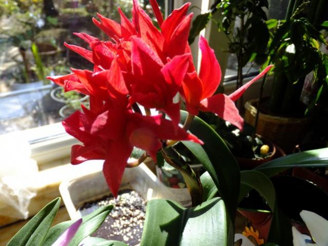 Name:  DSCF0209.jpg
Views: 591
Size:  49.7 KB