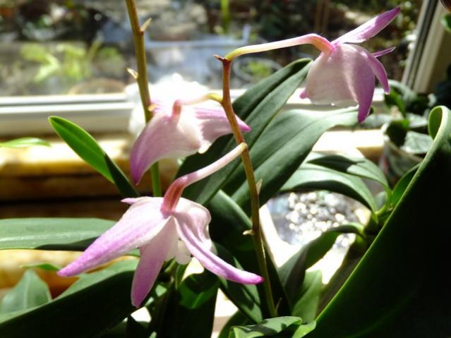 Name:  DSCF0210.jpg
Views: 578
Size:  44.0 KB