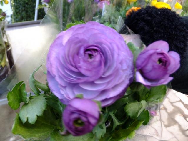 Name:  DSCF0226.jpg
Views: 567
Size:  41.5 KB