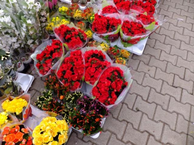 Name:  DSCF0232.jpg
Views: 573
Size:  67.0 KB