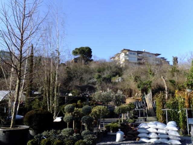 Name:  DSCF0251.jpg
Views: 465
Size:  60.2 KB
