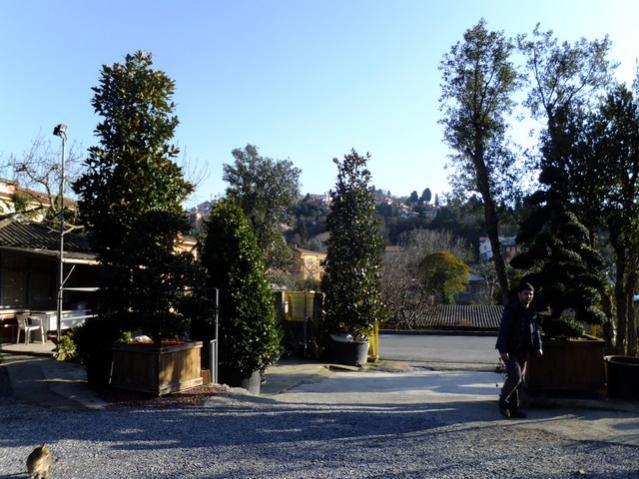 Name:  DSCF0252.jpg
Views: 443
Size:  59.9 KB