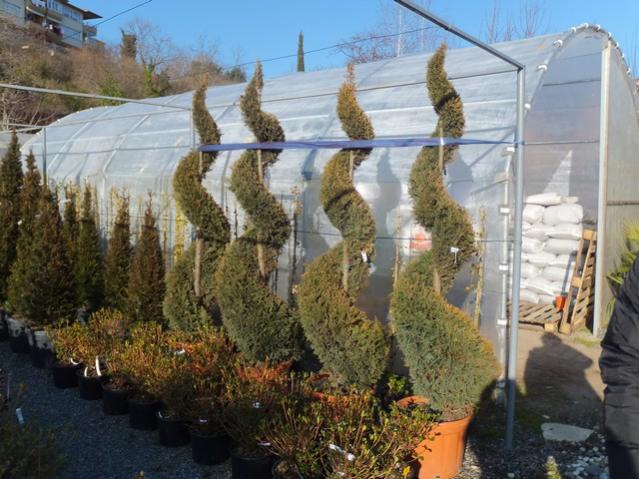 Name:  DSCF0259.jpg
Views: 457
Size:  58.7 KB
