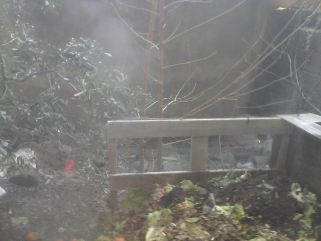 Name:  IMG0010A.jpg
Views: 881
Size:  35.8 KB