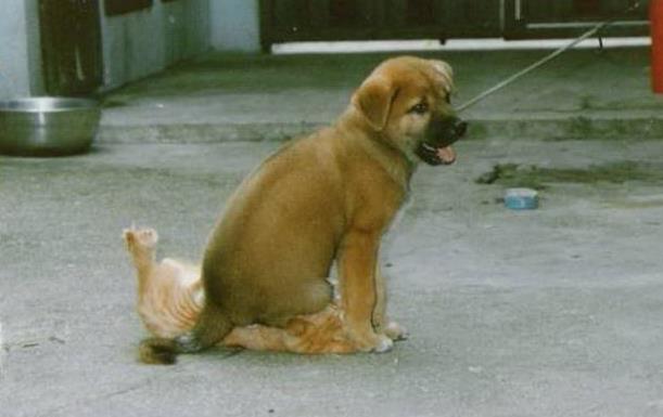 Name:  sorun.jpg
Views: 3139
Size:  28.0 KB