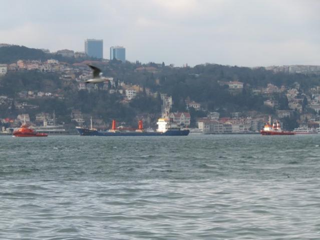 Name:  DSCF0308.jpg
Views: 394
Size:  37.5 KB