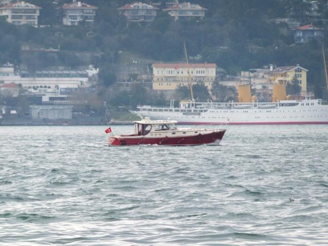 Name:  DSCF0309.jpg
Views: 409
Size:  48.1 KB