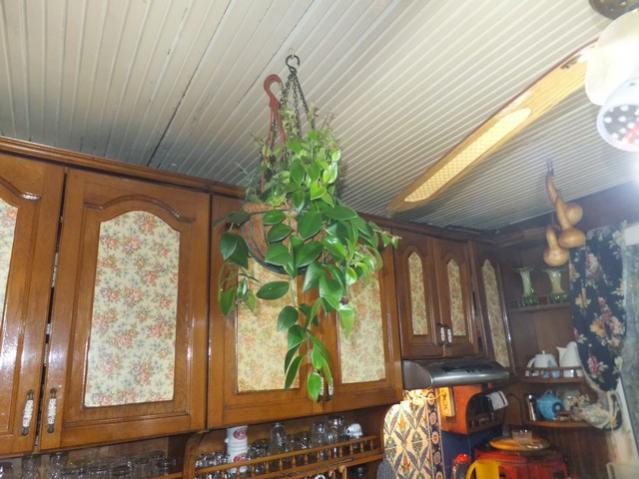 Name:  DSCF0313.jpg
Views: 415
Size:  49.0 KB
