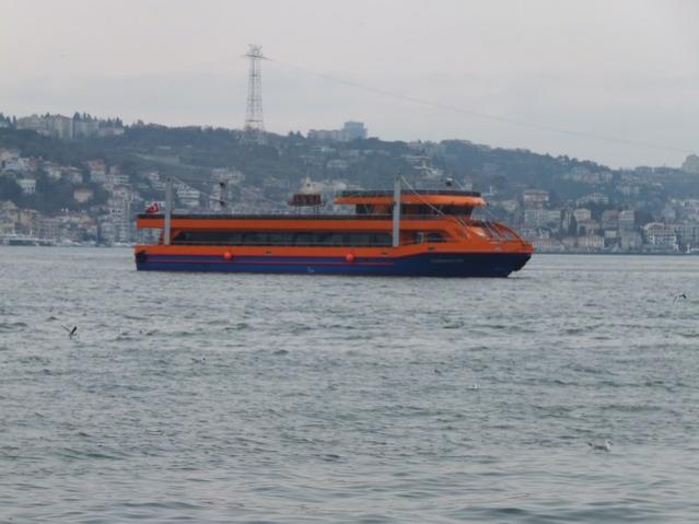 Name:  DSCF0323.jpg
Views: 398
Size:  36.7 KB