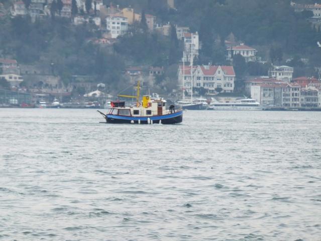 Name:  DSCF0324.jpg
Views: 406
Size:  43.6 KB