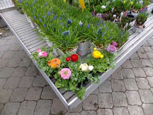 Name:  DSCF0332.jpg
Views: 418
Size:  65.5 KB