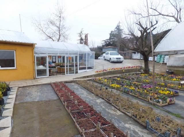 Name:  DSCF0378.jpg
Views: 399
Size:  52.8 KB