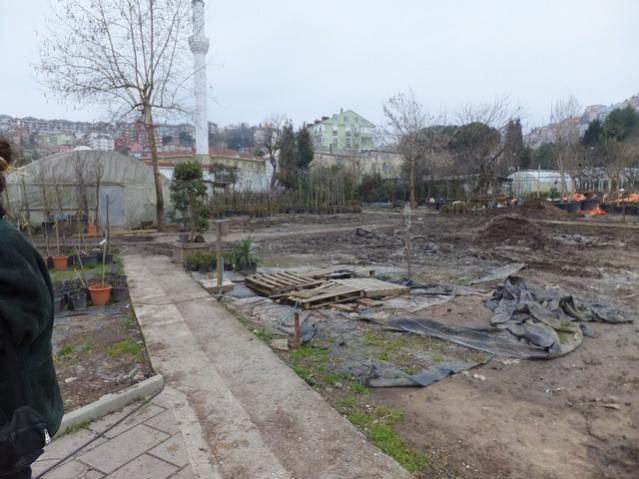 Name:  DSCF0382.jpg
Views: 828
Size:  50.3 KB