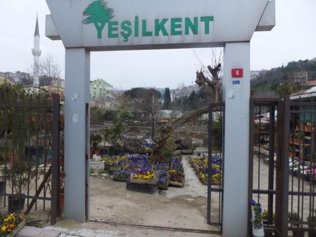Name:  DSCF0385.jpg
Views: 804
Size:  43.6 KB