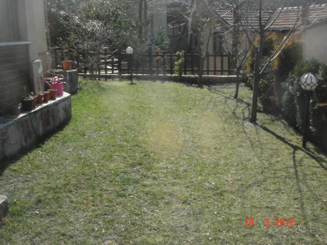 Name:  DSC08401.jpg
Views: 1089
Size:  63.1 KB