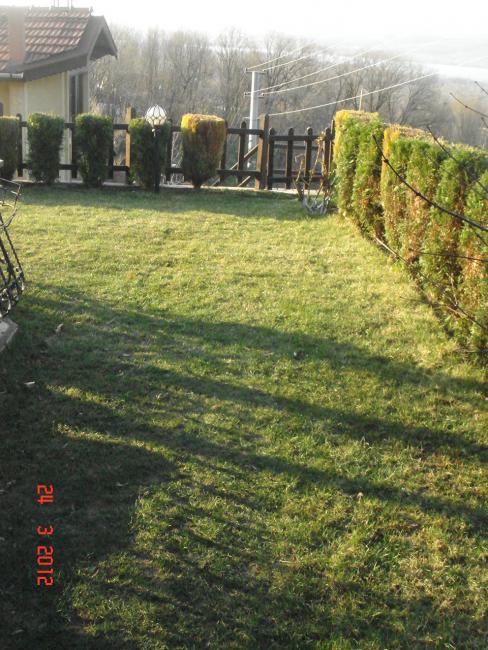 Name:  DSC08448.jpg
Views: 953
Size:  73.5 KB
