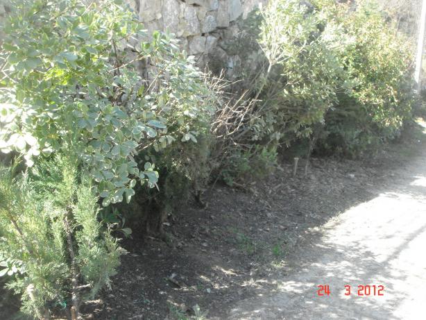 Name:  DSC08425.jpg
Views: 860
Size:  71.0 KB