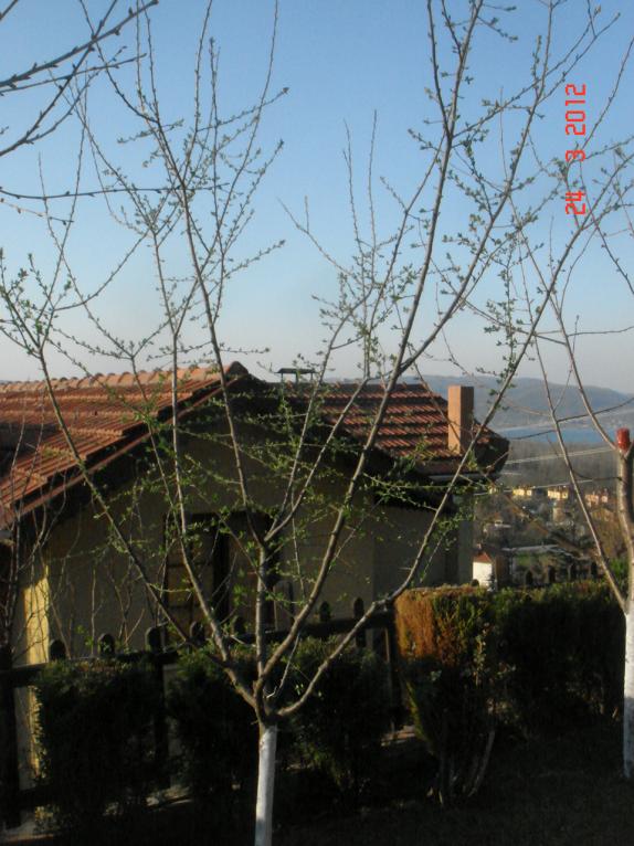Name:  DSC08465.jpg
Views: 866
Size:  72.8 KB