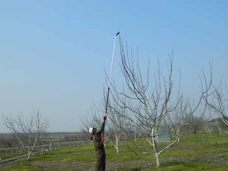 Name:  DSCN0621.jpg
Views: 1582
Size:  45.0 KB