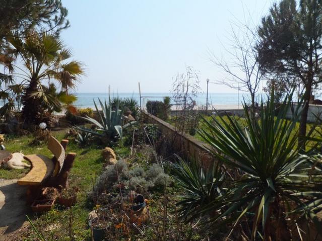 Name:  DSCF0490.jpg
Views: 525
Size:  61.3 KB