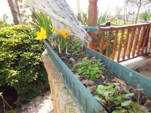 Name:  DSCF0492.jpg
Views: 496
Size:  64.9 KB