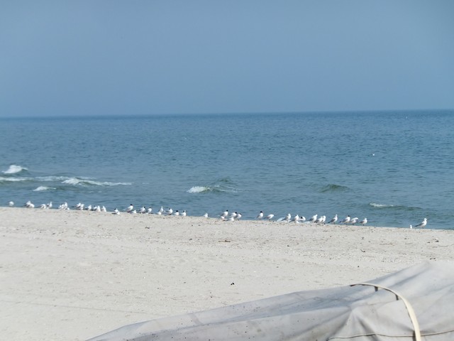 Name:  DSCF0507.jpg
Views: 489
Size:  59.2 KB