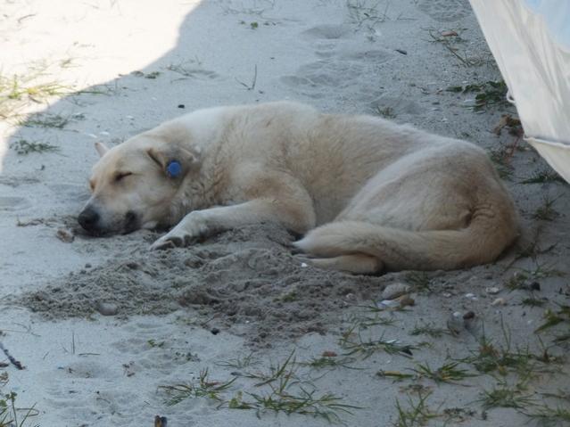 Name:  DSCF0517.jpg
Views: 647
Size:  45.5 KB