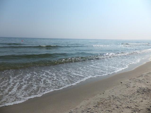 Name:  DSCF0520.jpg
Views: 622
Size:  33.3 KB