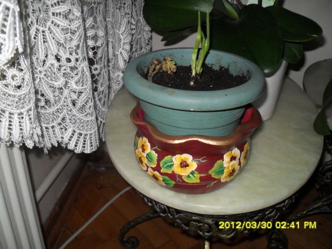 Name:  003.jpg
Views: 511
Size:  52.7 KB