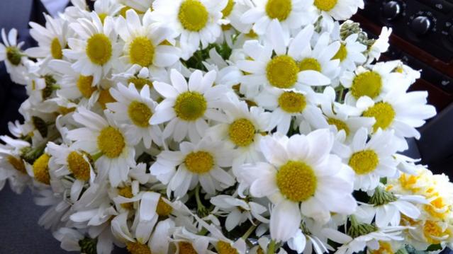 Name:  DSCF0594.jpg
Views: 489
Size:  43.0 KB