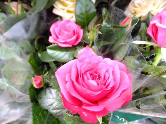 Name:  DSCF0635.jpg
Views: 511
Size:  45.2 KB