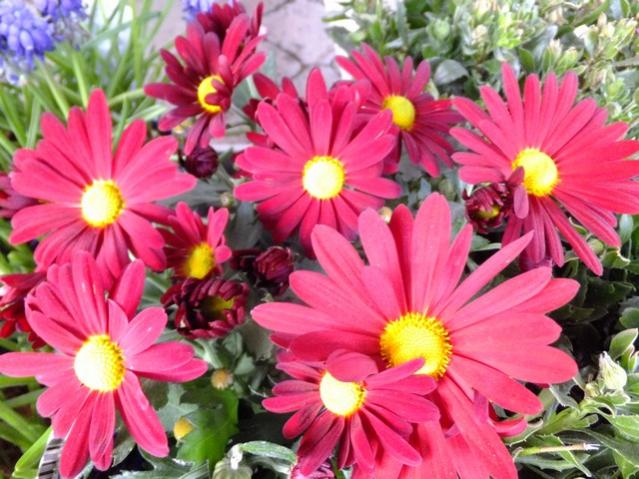 Name:  DSCF0653.jpg
Views: 543
Size:  60.3 KB