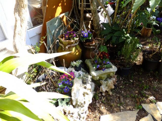 Name:  DSCF0661.jpg
Views: 435
Size:  63.4 KB