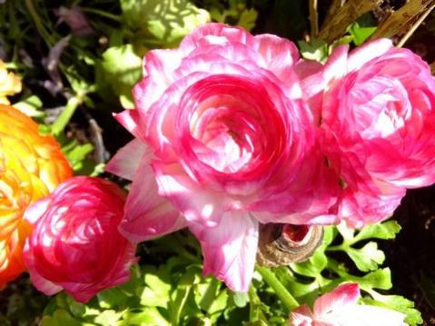 Name:  DSCF0685.jpg
Views: 417
Size:  36.0 KB