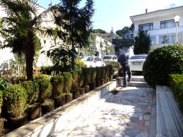 Name:  DSCF0725.jpg
Views: 353
Size:  69.2 KB