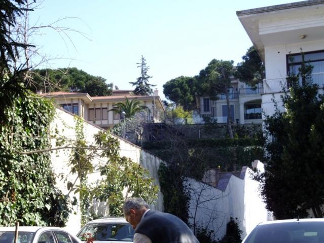 Name:  DSCF0726.jpg
Views: 357
Size:  60.0 KB